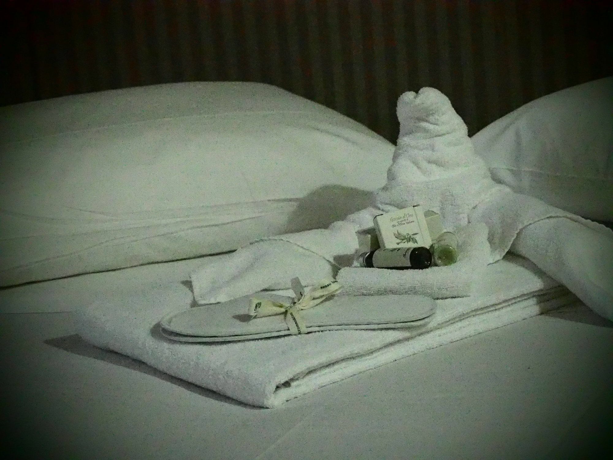 Apartahotel Art San Domenico Turín